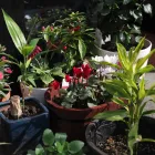 お問い合わせ・ご予約